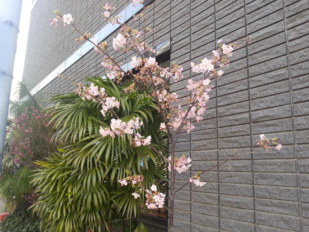 Annex Katsutaro Ryokan Tokio Exterior foto